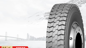 Lốp Xe ChaoYang EZ865 12.00R20