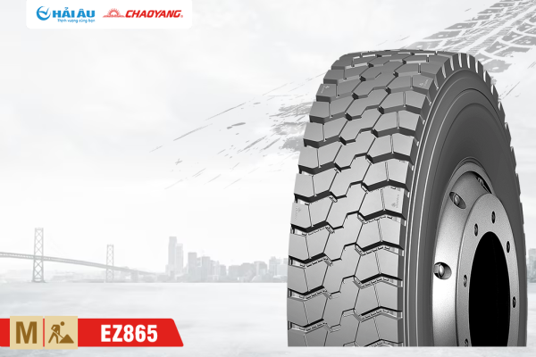 Lốp Xe ChaoYang EZ865 12.00R20